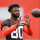 Illustration for article titled Jarvis Landry Spends 98 Seconds Cursing Out His Fellow Browns Receivers